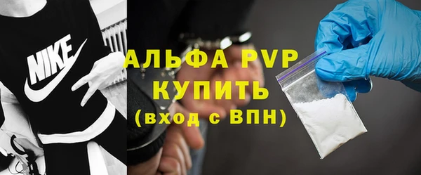 стаф Новодвинск