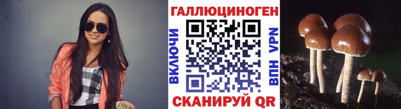 Псилоцибиновые грибы GOLDEN TEACHER  Самара 