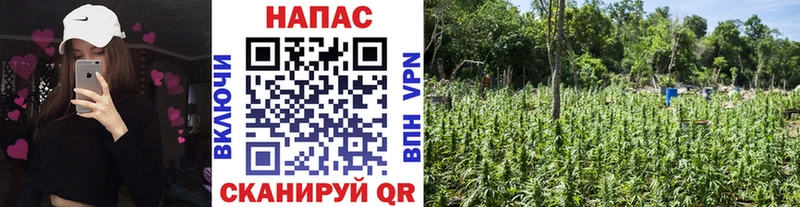 Марихуана Amnesia  Самара 